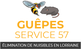  LOGOGUÊPES SERVICE 57